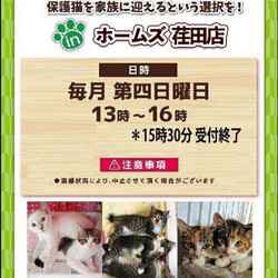 おーあみ避難所譲渡会in荏田