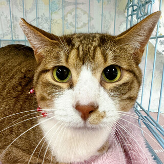 2/2千葉ෆ⃛寄り目がキュートෆ⃛ちゃー君