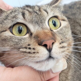 アルファくん♂️