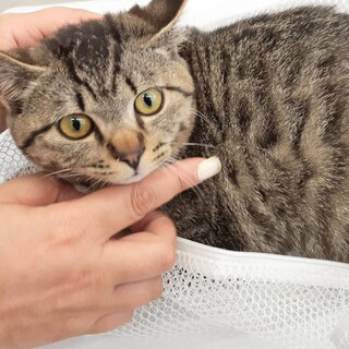 ありがとうございました