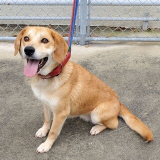 ありがとうございました！