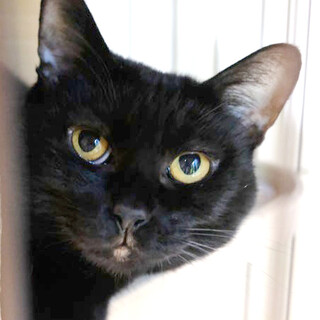 お友達できたらいいな♡マイペースで愛嬌ある女の子