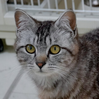 新しい家族ができました♪