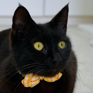 新たなご家族ができました♪