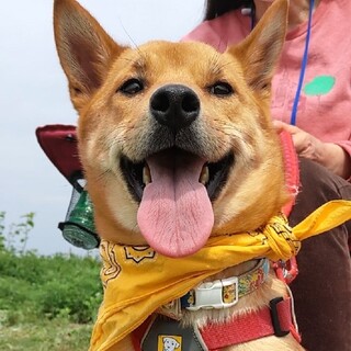 運動神経抜群、賢くて素直な女の子 もみじ