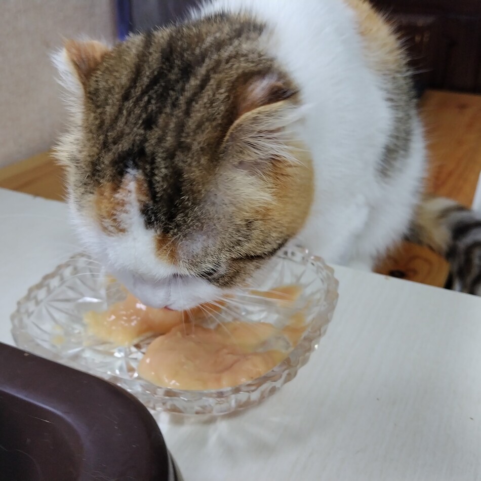 リリーのカバー写真