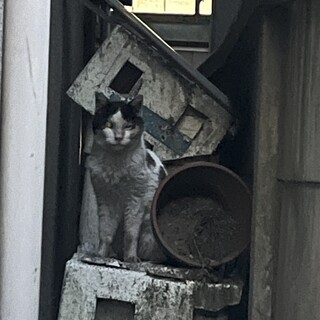超人馴れ！うし君18歳を助けたい！！