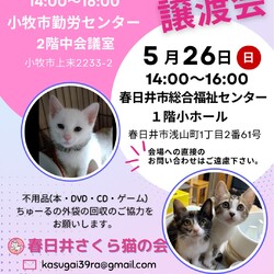 保護猫の譲渡会in小牧