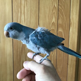 たくさんのご応募ありがとうございました。