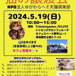 第11回猫の譲渡会 at 湯河原町