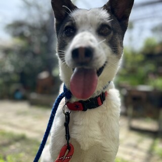 引きこもりイケメンの『おはし』君