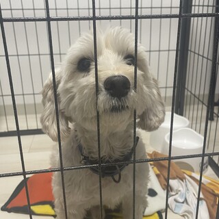 どうかちゃんと愛してあげてください