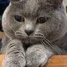 の写真