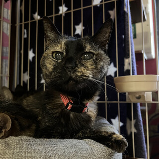 おっとり甘えん坊さん☆なつきちゃん