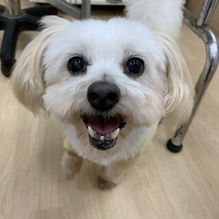 人が大好き甘えん坊♡きらりちゃん8歳