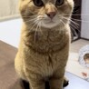 ぬいぐるみの最弱王のレムくん サムネイル3