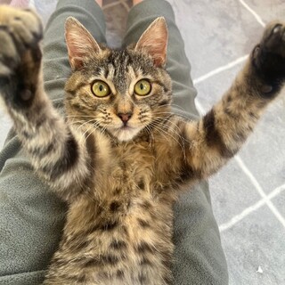 5/12幕張ෆ⃛人が大好きෆ⃛キムちゃん