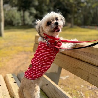 べったり甘えん坊さんな『すずちゃん』