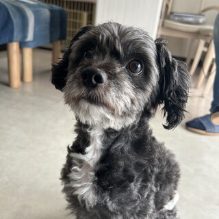 一度募集を停止します