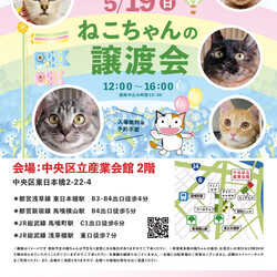 ねこざんまい譲渡会@東日本橋