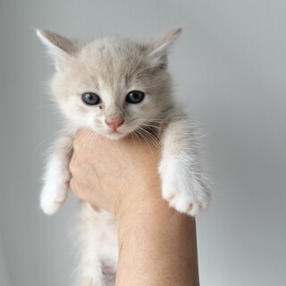 おっとり男の子