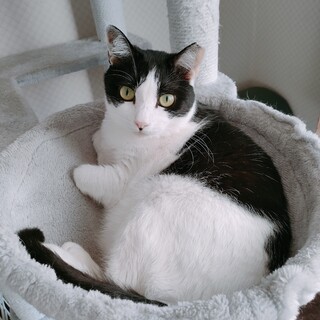 ありがとうございました