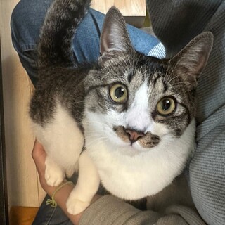 6/16高田馬場★コウガくん★天真爛漫で活発