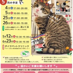 保護猫の譲渡会（ねこの歩添道さんの主催の譲渡会）