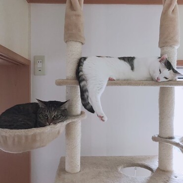 の写真