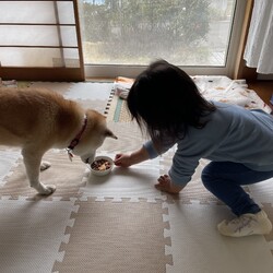 「シニア葵の病(T^T)」サムネイル3