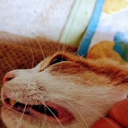 「いくら、1kg痩せてた」サムネイル1