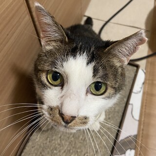 とても甘えん坊でユニークな男の子