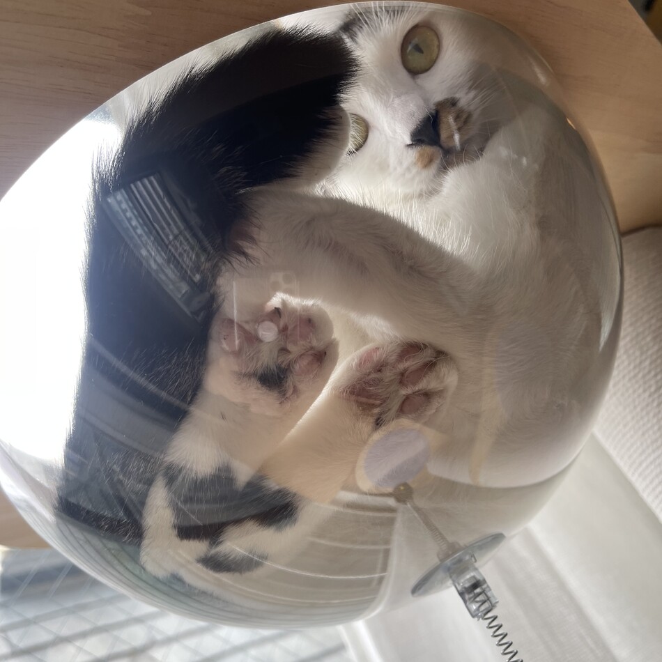 ハッピーのカバー写真