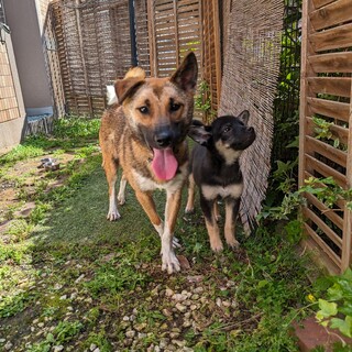 また今回もお声かけなし…優しくてとてもよい子♡