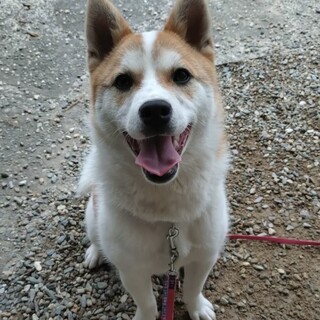 怖がりの男の子『マーベル』