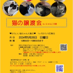 5月26日　猫の譲渡会　by にゃんころ隊