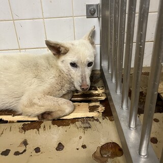 緊急❗️怖くて震える男の子‼️