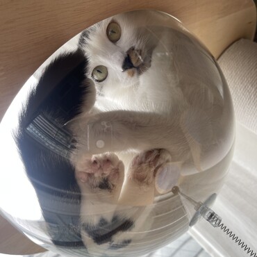 宇宙船がお気に入り