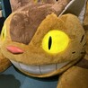むぎむぎとろろ