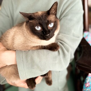 ゆったりした癒しを共に！あいるーくん！