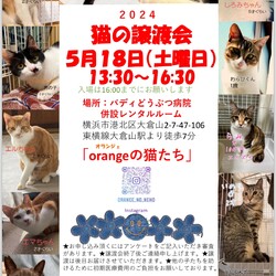 「orangeの猫たち」譲渡会in横浜大倉山