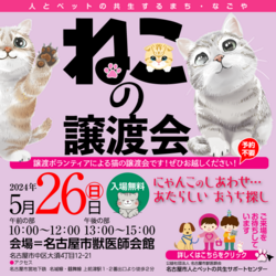 猫の譲渡会☆大須商店街近く