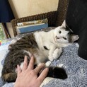 人が大好き、お外で子供を守ってきたお母さん