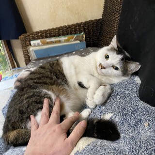 人が大好き、お外で子供を守ってきたお母さん