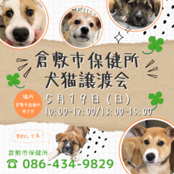 倉敷市保健所　収容犬猫譲渡会
