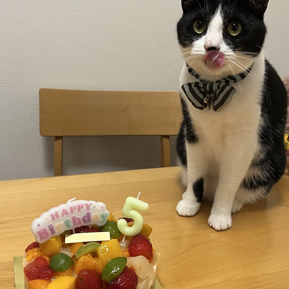 わかばのカバー写真