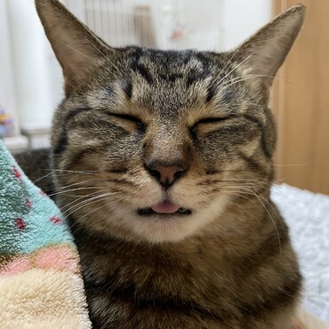 眠すぎて、美人が台無し( ´﹀` ٥ )
