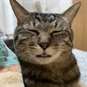 眠すぎて、美人が台無し( ´﹀` ٥ )