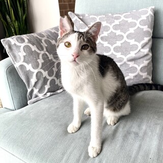 【5/12東銀座】マーチくん★11ヵ月♪