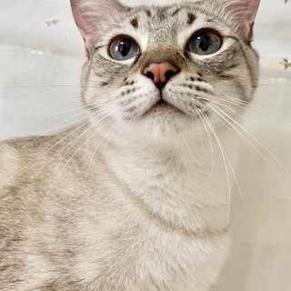 【5/12東銀座】みつばちゃん★10ヵ月♪